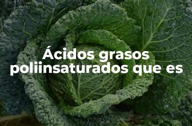 Ácidos Grasos Poliinsaturados que es