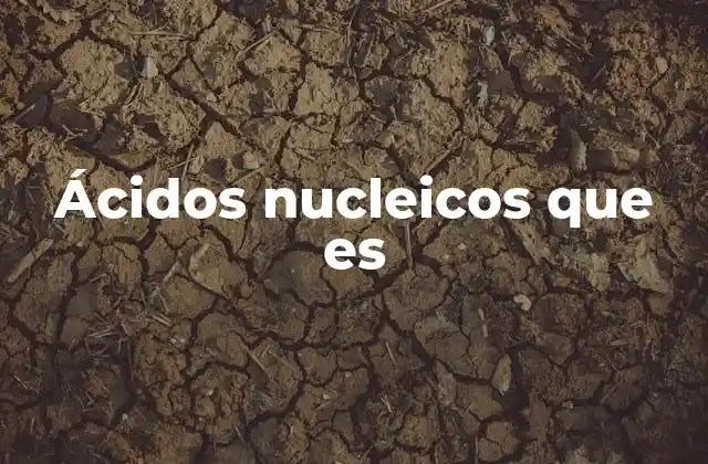 Ácidos Nucleicos que es