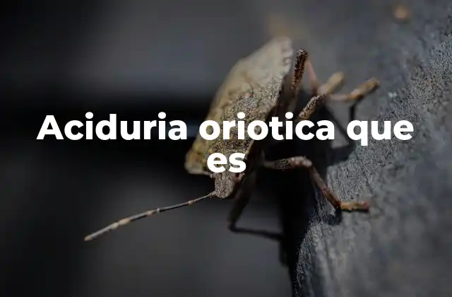 Aciduria Oriotica que es