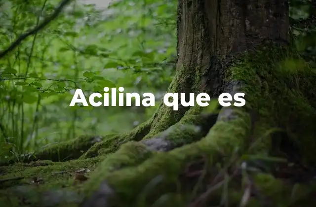 Acilina que es 2 Aplicaciones industriales de la acilina