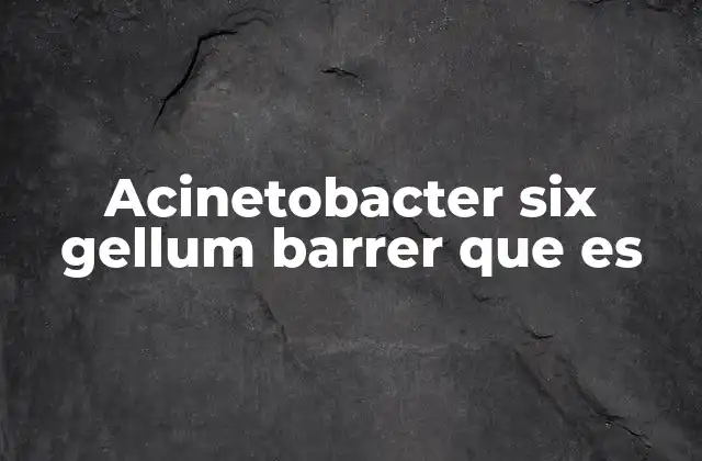 Acinetobacter Six Gellum Barrer que es