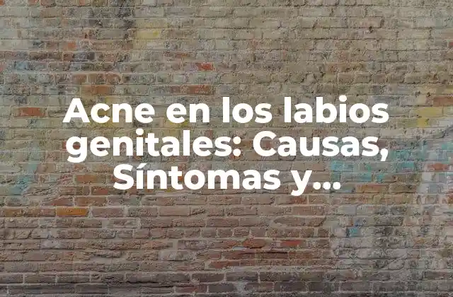 Acne en los Labios Genitales: Causas, Síntomas y Tratamientos