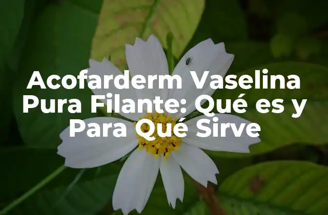 Acofarderm Vaselina Pura Filante: Qué es y para Qué Sirve