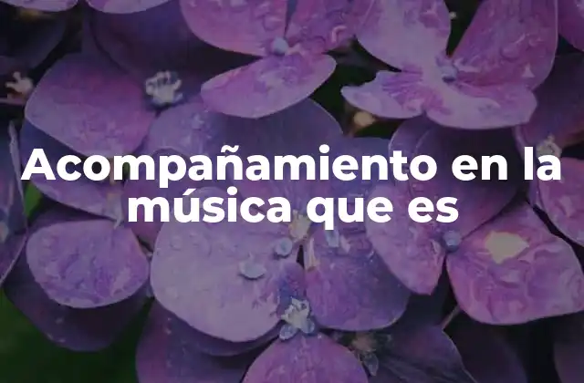 Acompañamiento en la Música que es