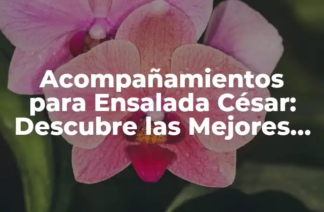 Acompañamientos para Ensalada César: Descubre las Mejores Opciones