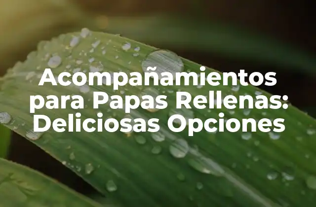 Acompañamientos para Papas Rellenas: Deliciosas Opciones