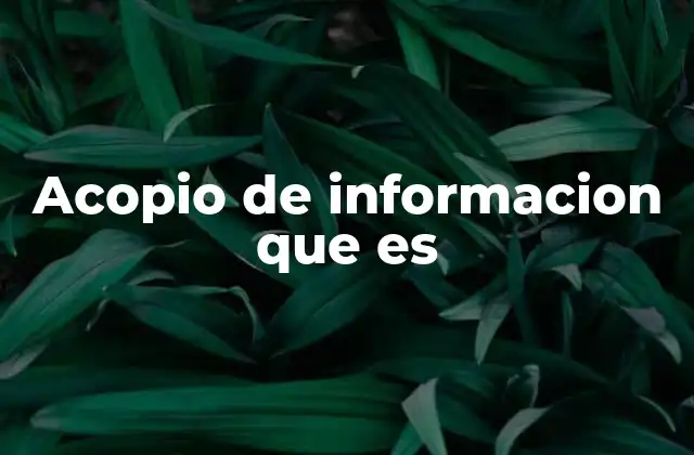 Acopio de Informacion que es