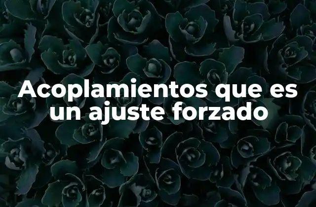 Acoplamientos que es un Ajuste Forzado