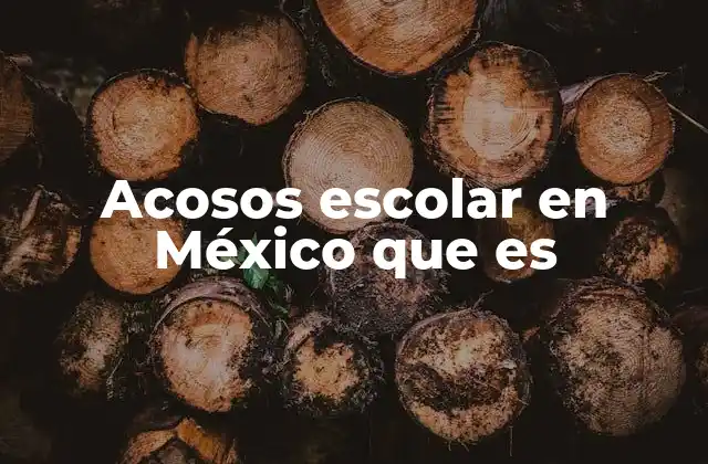 Acosos Escolar en México que es