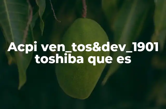 Acpi Ven_tos&dev_1901 Toshiba que es