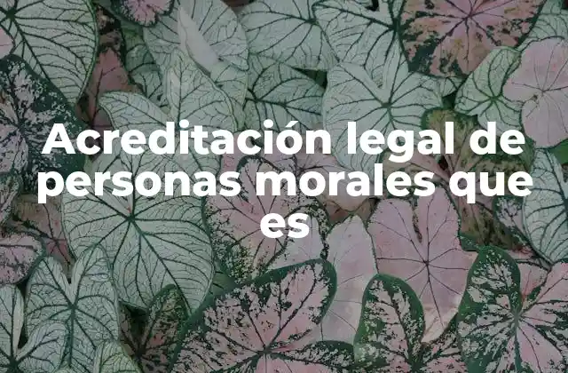 Acreditación Legal de Personas Morales que es