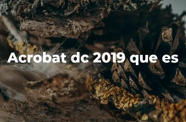 Acrobat Dc 2019 que es 2 La evolución del software de gestión de documentos digitales