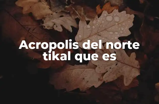 Acropolis Del Norte Tikal que es