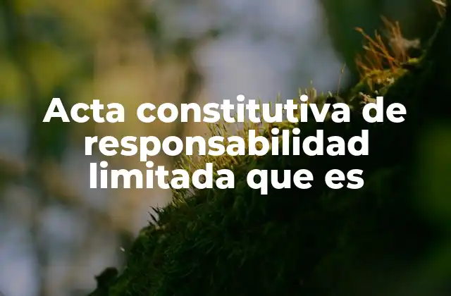 Acta Constitutiva de Responsabilidad Limitada que es