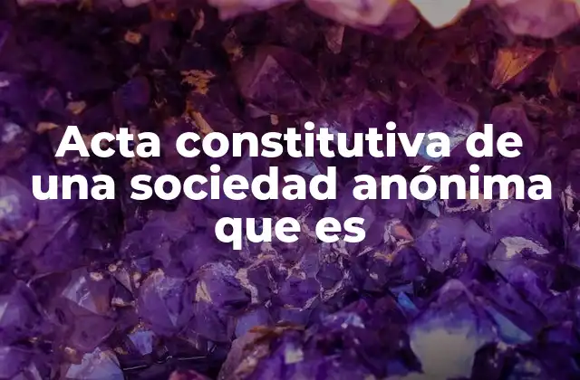 Acta Constitutiva de una Sociedad Anónima que es
