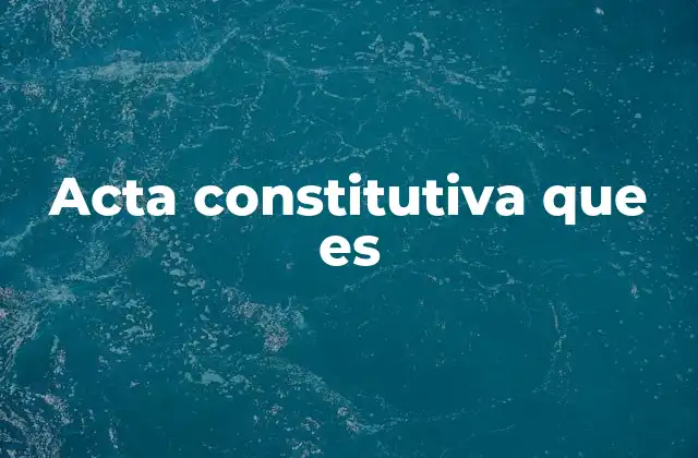 Acta Constitutiva que es