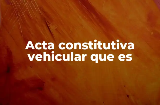 Acta Constitutiva Vehicular que es
