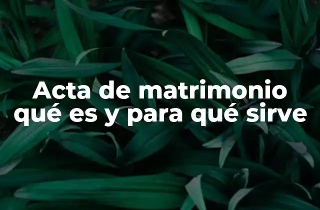 La importancia del registro legal en la unión conyugal