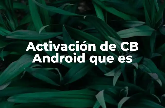 Activación de Cb Android que es