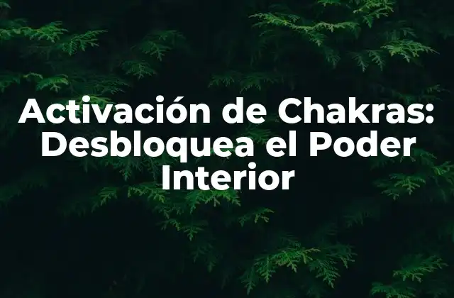 Activación de Chakras: Desbloquea el Poder Interior