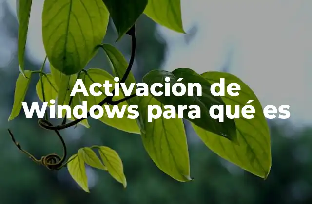 Activación de Windows para Qué es