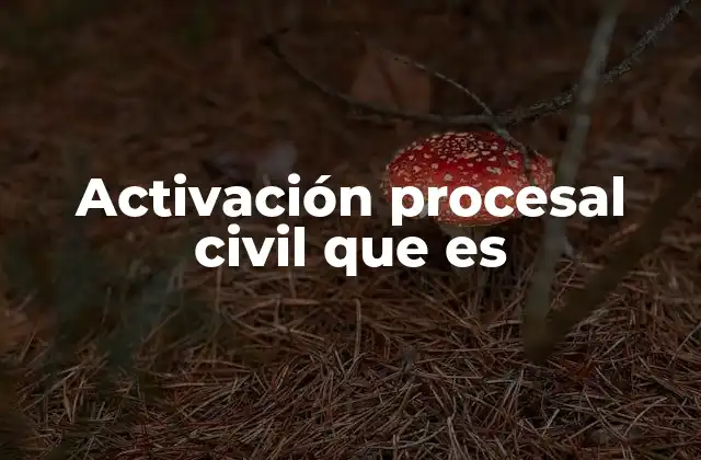 Activación Procesal Civil que es 2 El papel de las partes en el avance de un proceso