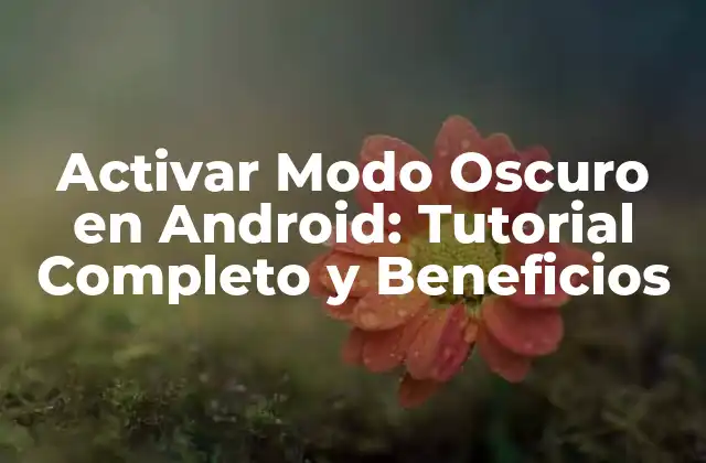 ¿Qué es el Modo Oscuro de Android?