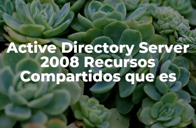 Active Directory Server 2008 Recursos Compartidos que es