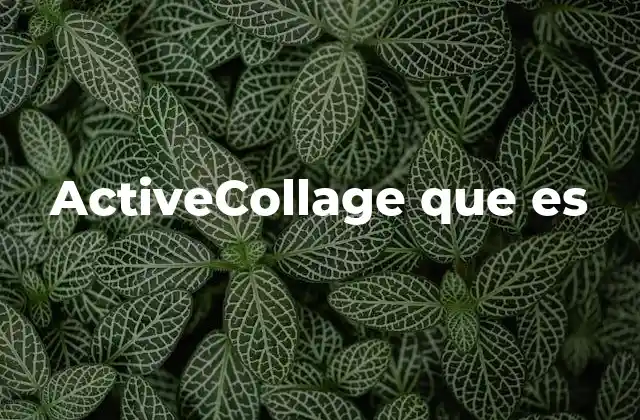 Activecollage que es 2 Cómo ActiveCollage transforma la forma de presentar contenidos
