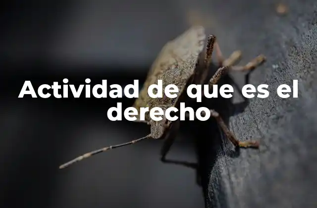 Actividad de que es el Derecho