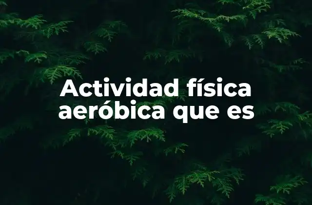 Actividad Física Aeróbica que es