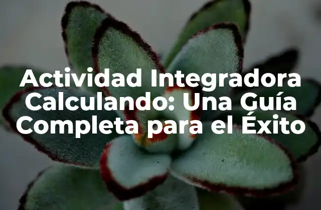 Actividad Integradora Calculando: una Guía Completa para el Éxito