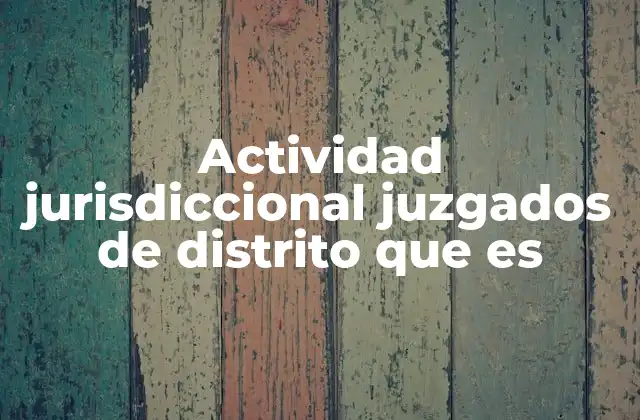Actividad Jurisdiccional Juzgados de Distrito que es