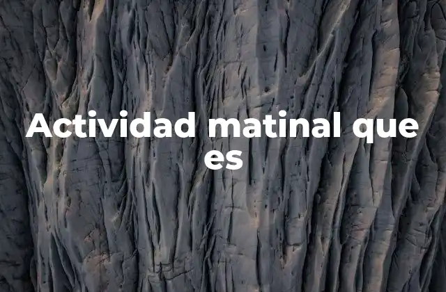 Actividad Matinal que es