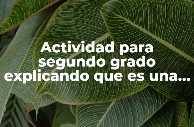 Actividad para Segundo Grado Explicando que es una Unidad