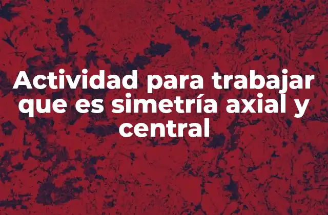 Aplicaciones de la simetría en la vida cotidiana