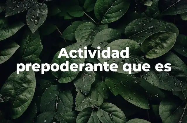 Actividad Prepoderante que es