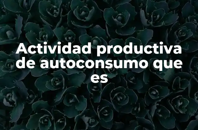Actividad Productiva de Autoconsumo que es