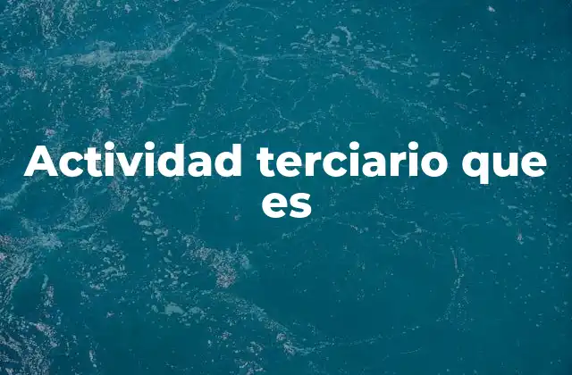 Actividad Terciario que es