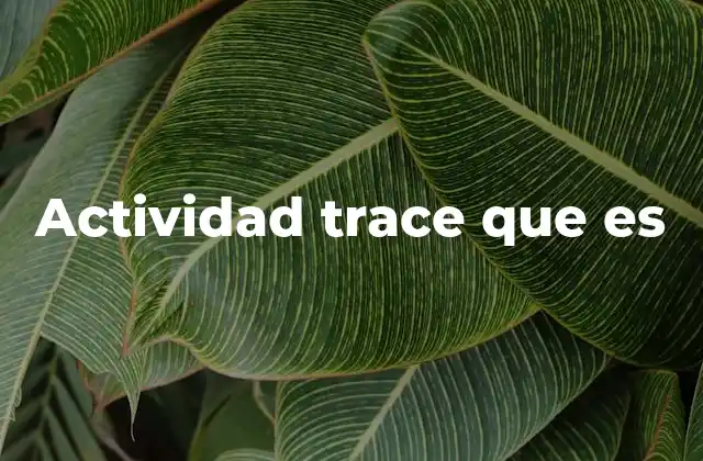 Actividad Trace que es
