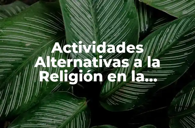 Actividades Alternativas a la Religión en la Educación Primaria: Impresiones y Opciones