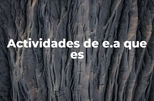 La importancia del trabajo colaborativo en las actividades de E.A.