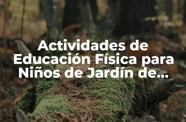 Actividades de Educación Física para Niños de Jardín de Infantes