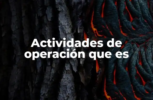 Actividades de Operación que es