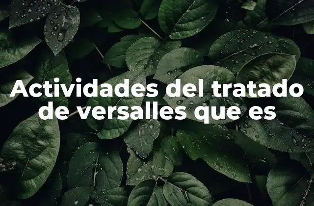 Actividades Del Tratado de Versalles que es 2 Consecuencias políticas y sociales del Tratado de Versalles