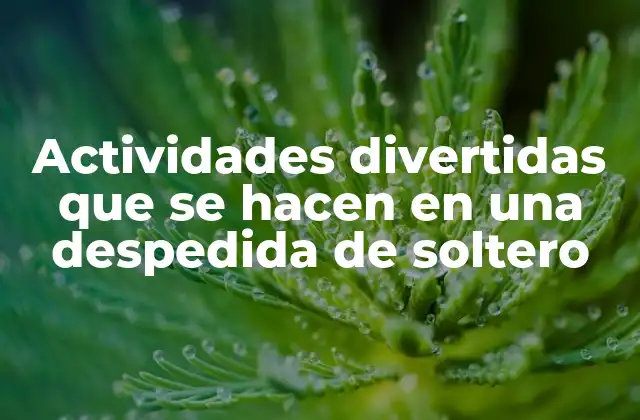 Actividades Divertidas que Se Hacen en una Despedida de Soltero