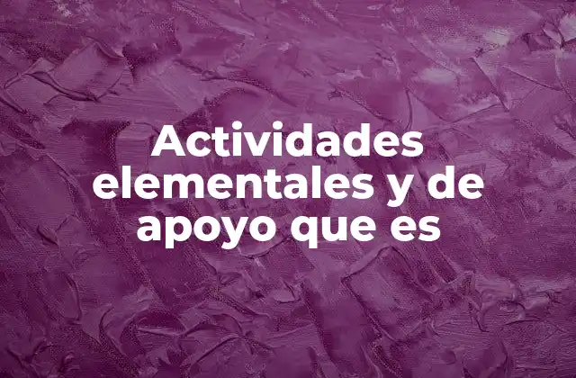 Actividades Elementales y de Apoyo que es
