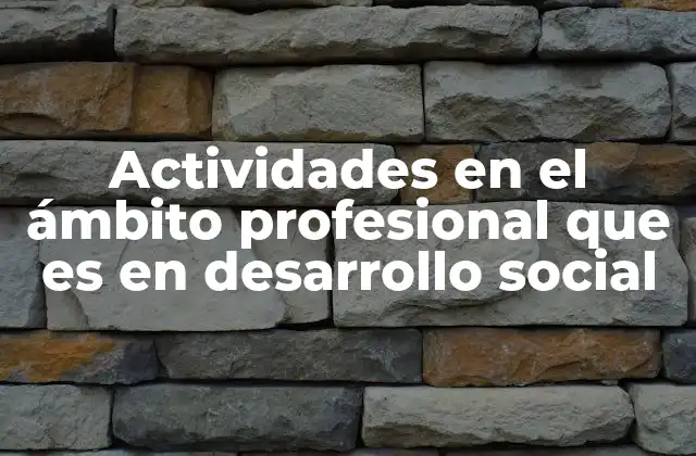 Actividades en el Ámbito Profesional que es en Desarrollo Social
