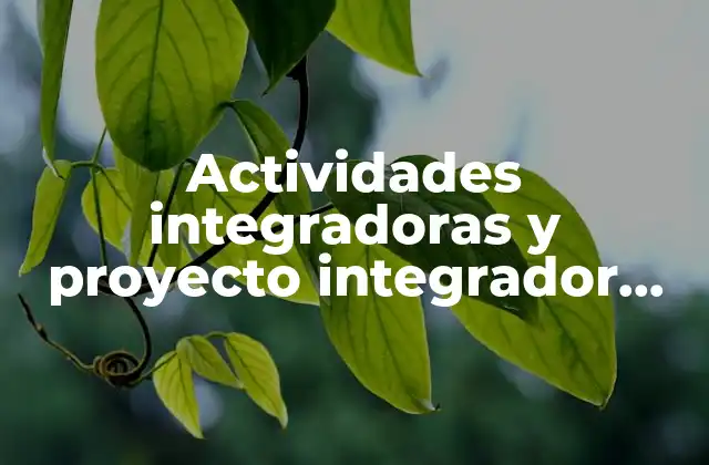 Actividades Integradoras y Proyecto Integrador que es