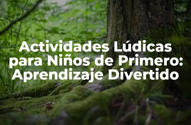 Actividades Lúdicas para Niños de Primero: Aprendizaje Divertido